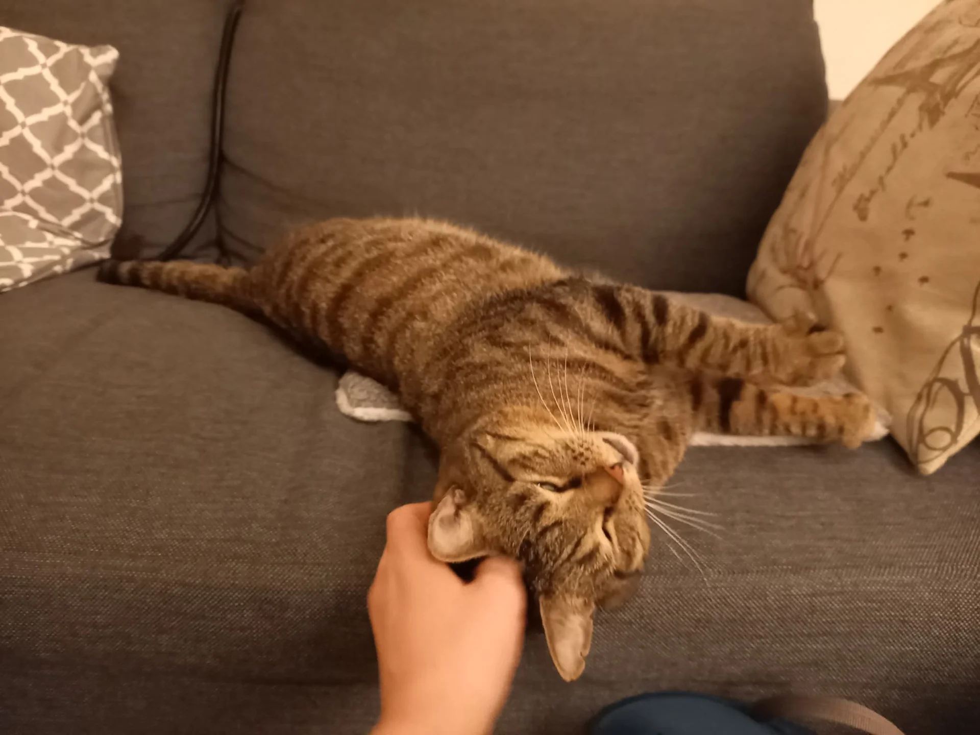 Foto van de Appartement gelegen aan de Kromme Nieuwegracht in Utrecht