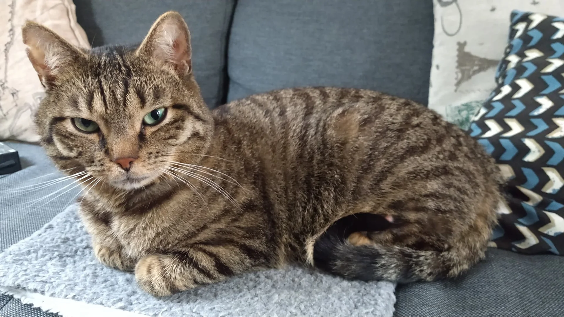 Foto van de Appartement gelegen aan de Kromme Nieuwegracht in Utrecht