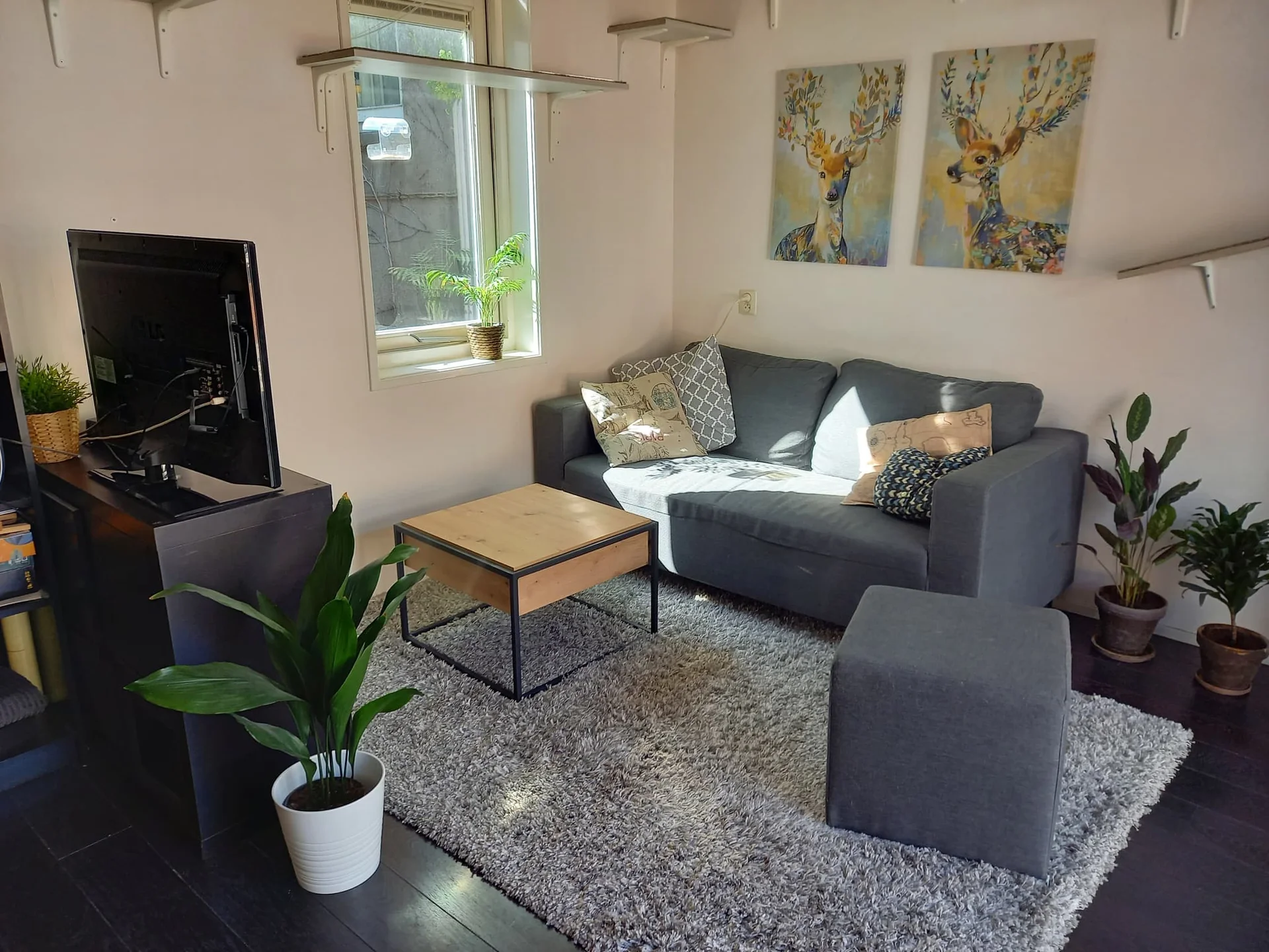 Foto van de Appartement gelegen aan de Kromme Nieuwegracht in Utrecht