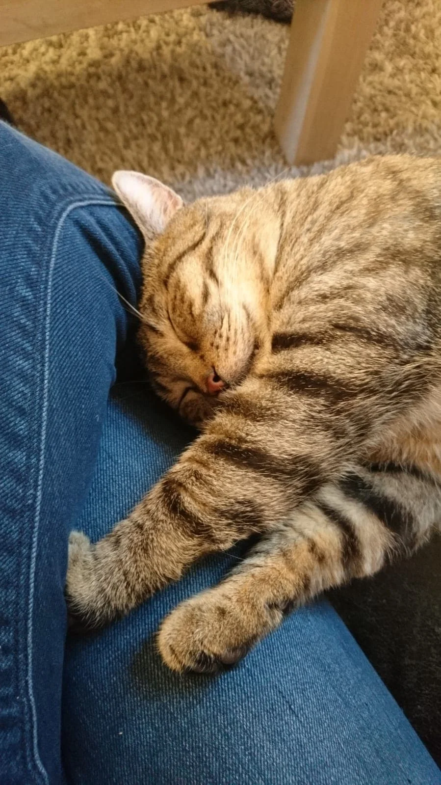 Foto van de Appartement gelegen aan de Kromme Nieuwegracht in Utrecht