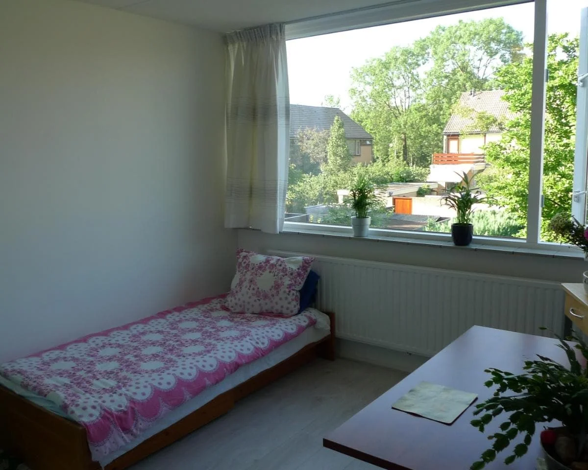 geblurde versie van de foto als achtergrond