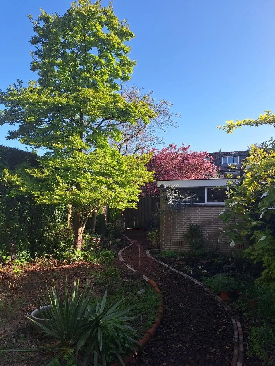 Foto van de Kamer gelegen aan de de Hoef in Wageningen