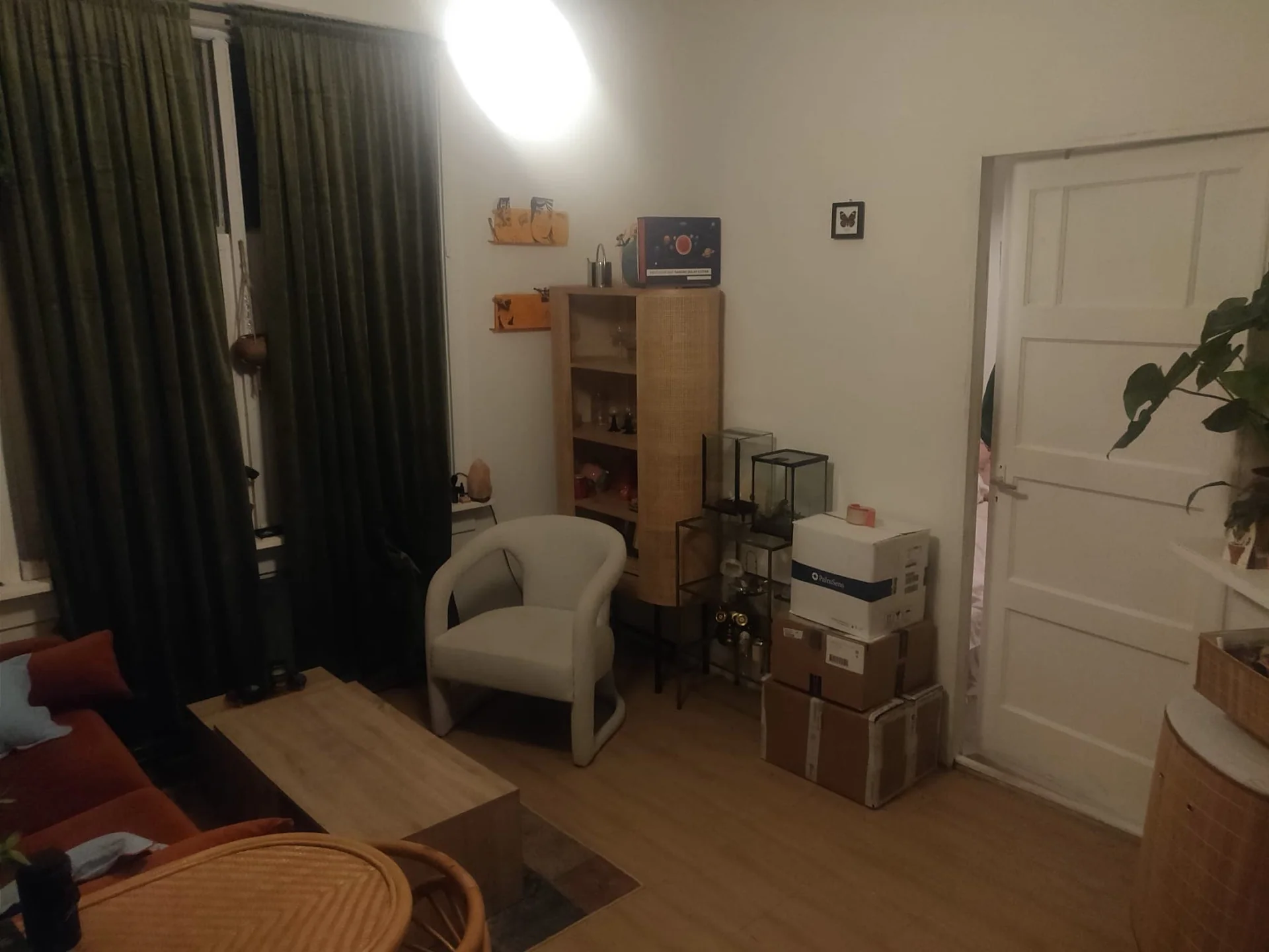 geblurde versie van de foto als achtergrond