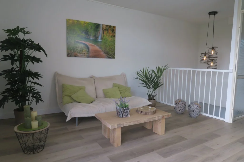 geblurde versie van de foto als achtergrond