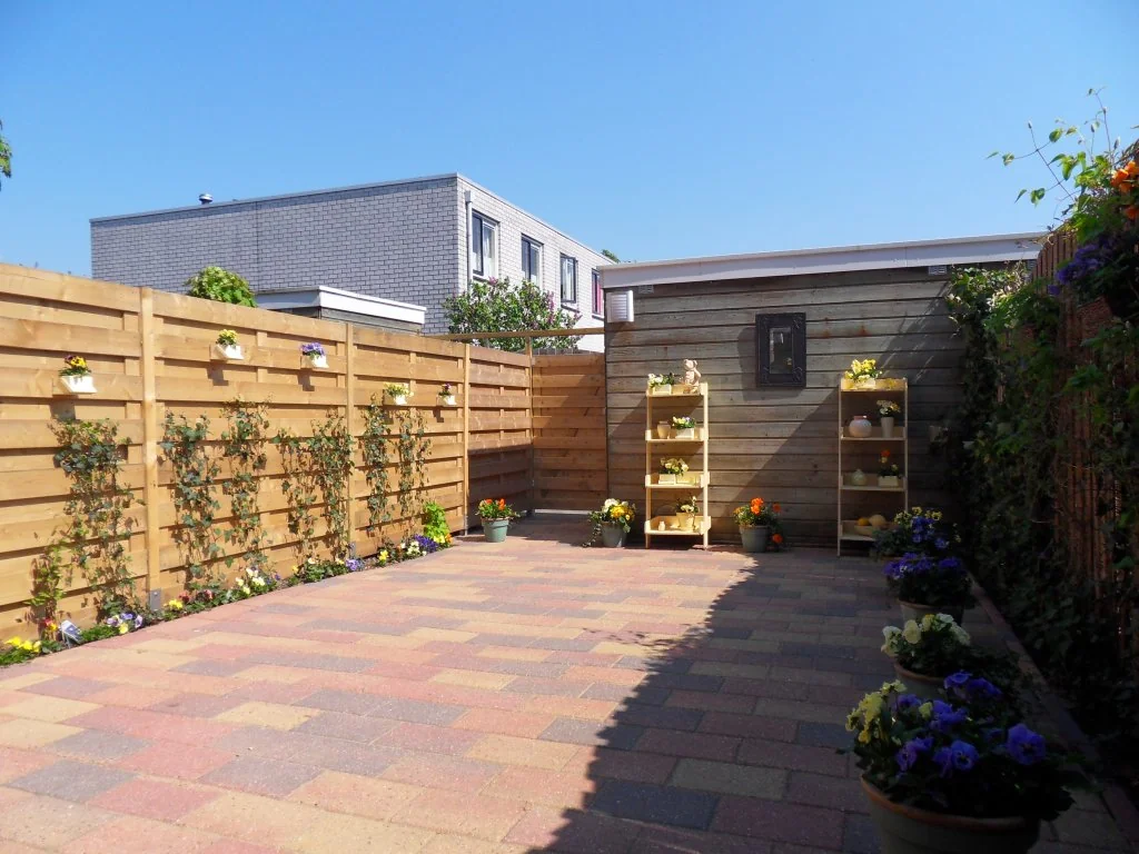 geblurde versie van de foto als achtergrond