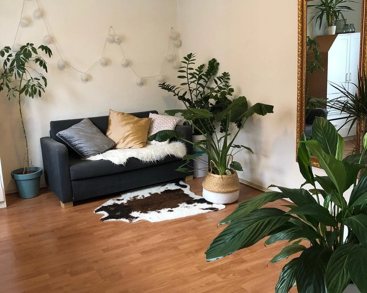 geblurde versie van de foto als achtergrond