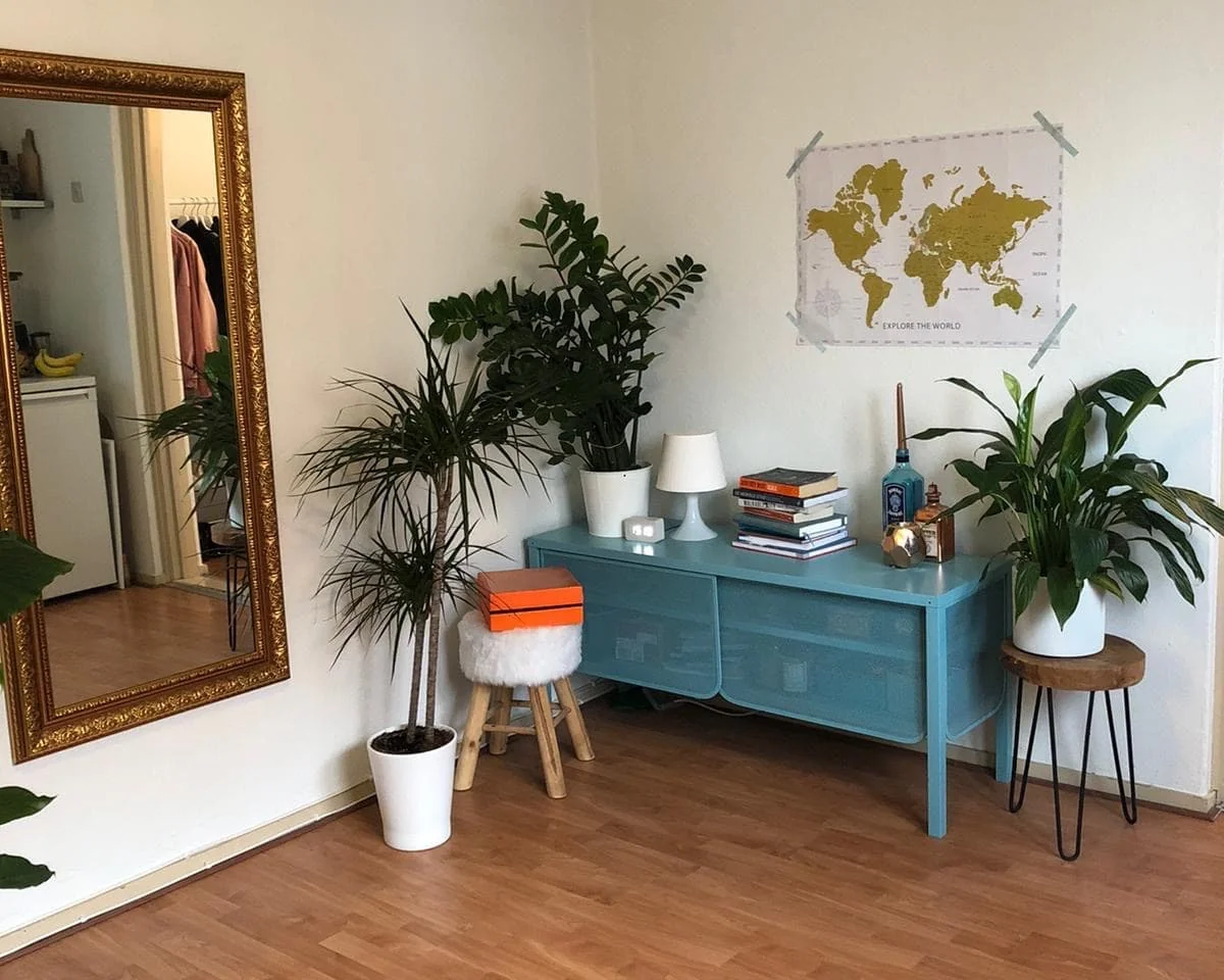 geblurde versie van de foto als achtergrond