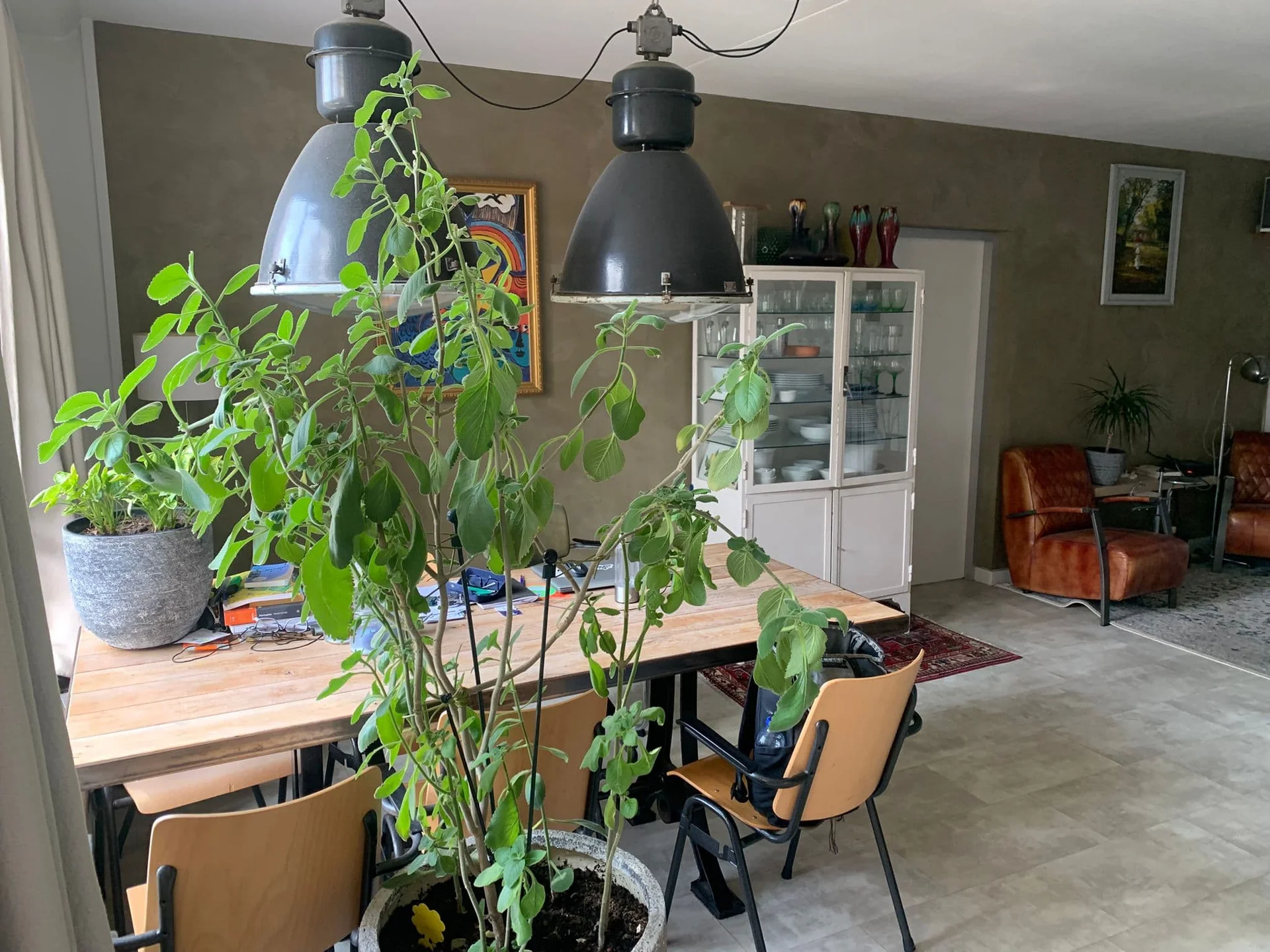 Foto van de Kamer gelegen aan de Leusdenhof in Amsterdam