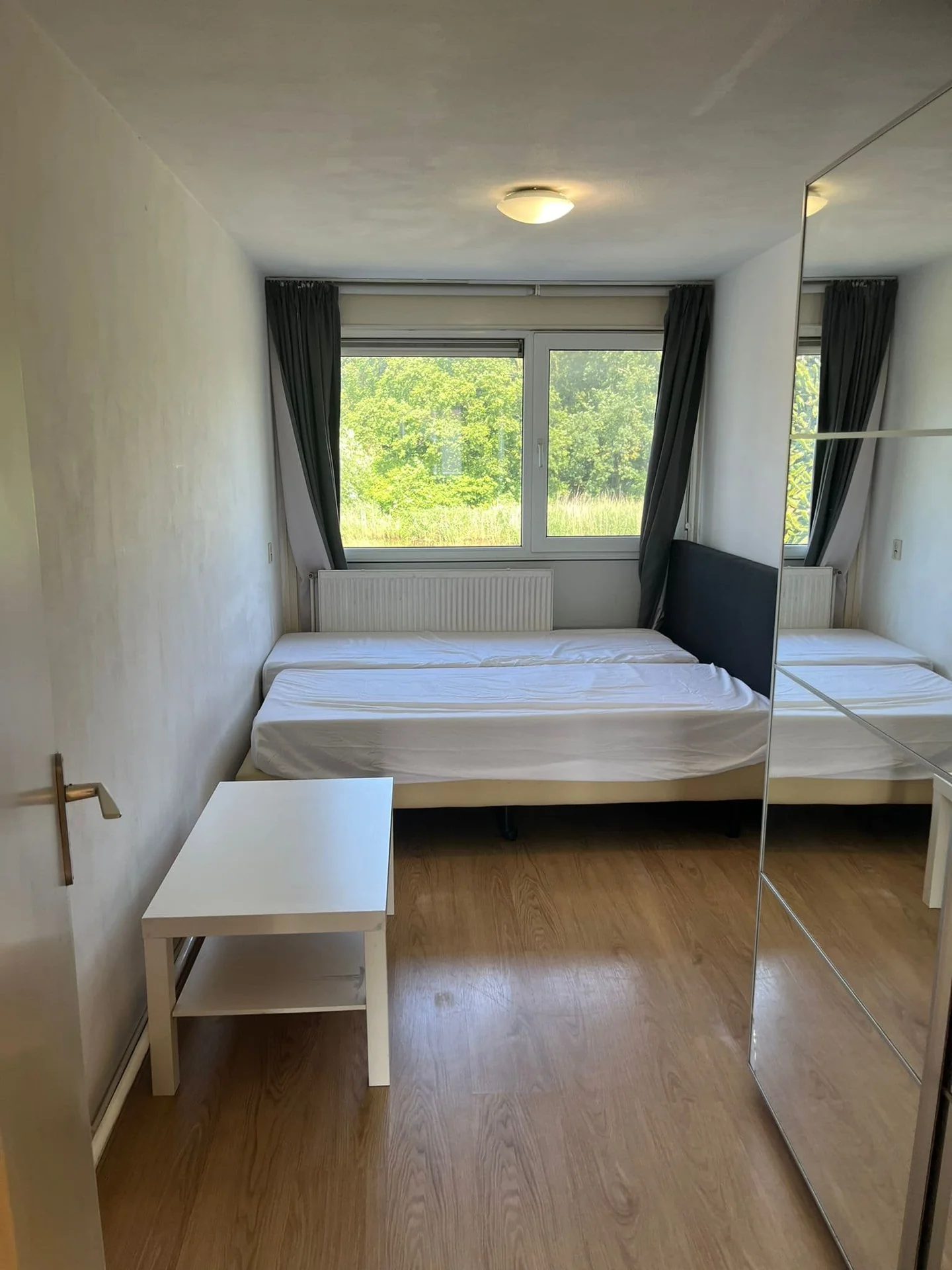 geblurde versie van de foto als achtergrond