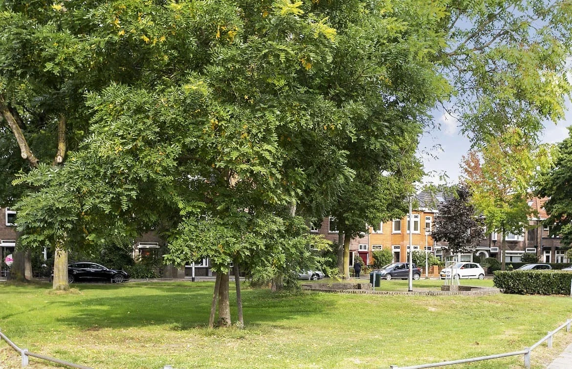 Foto van de Kamer gelegen aan de Molenbochtplein in Tilburg