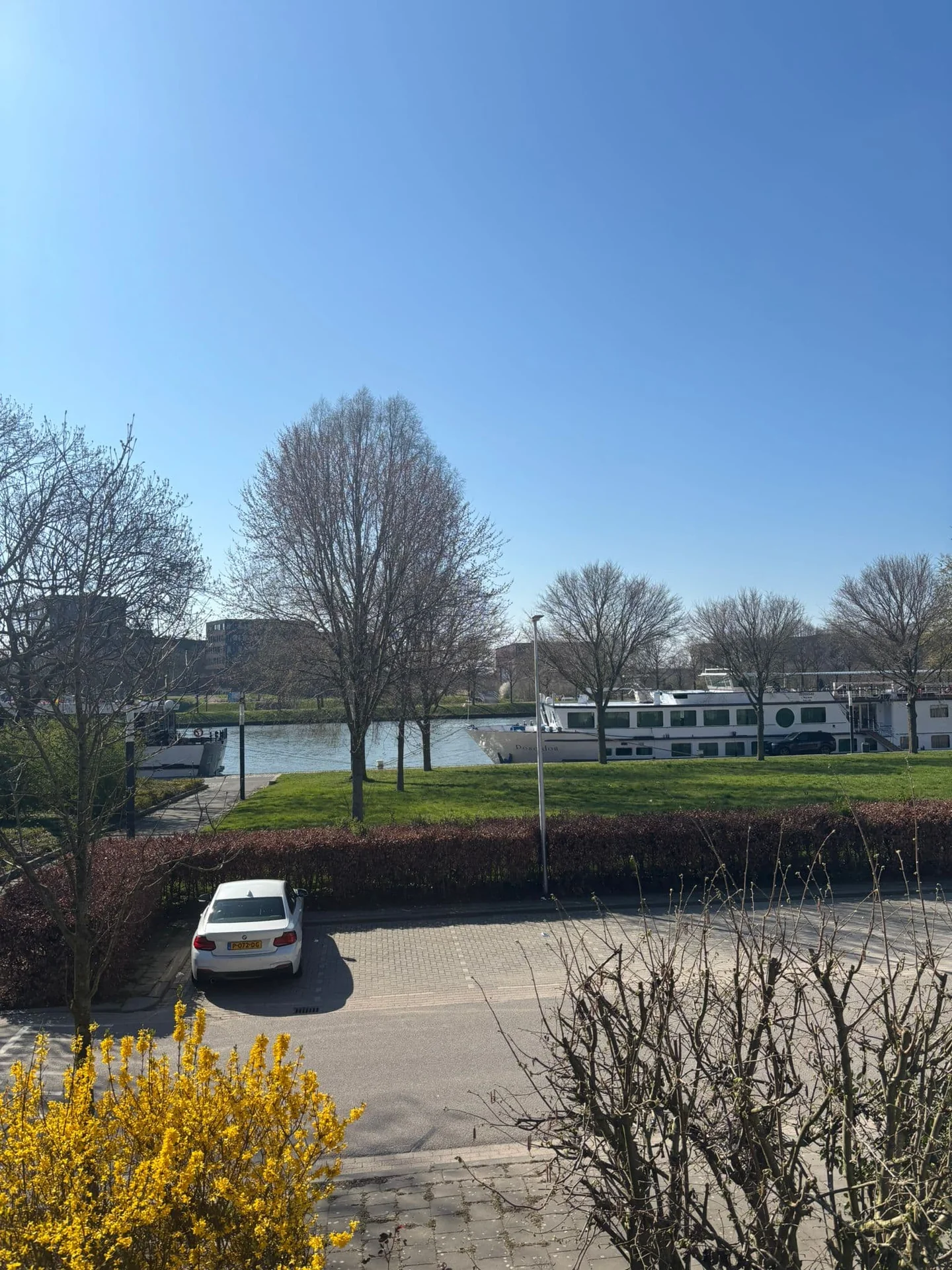 geblurde versie van de foto als achtergrond