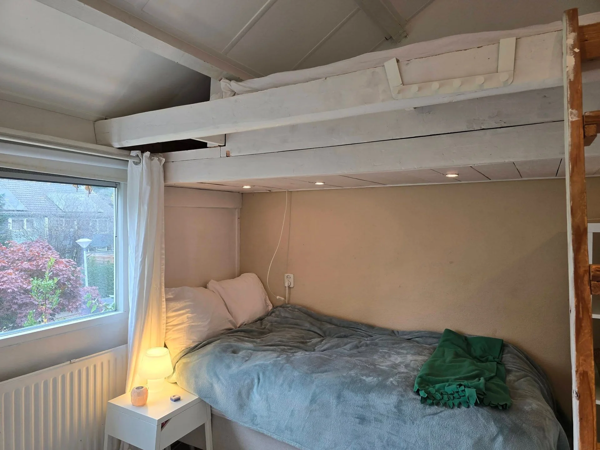 Foto van de Kamer gelegen aan de Speenkruidstraat in Groningen