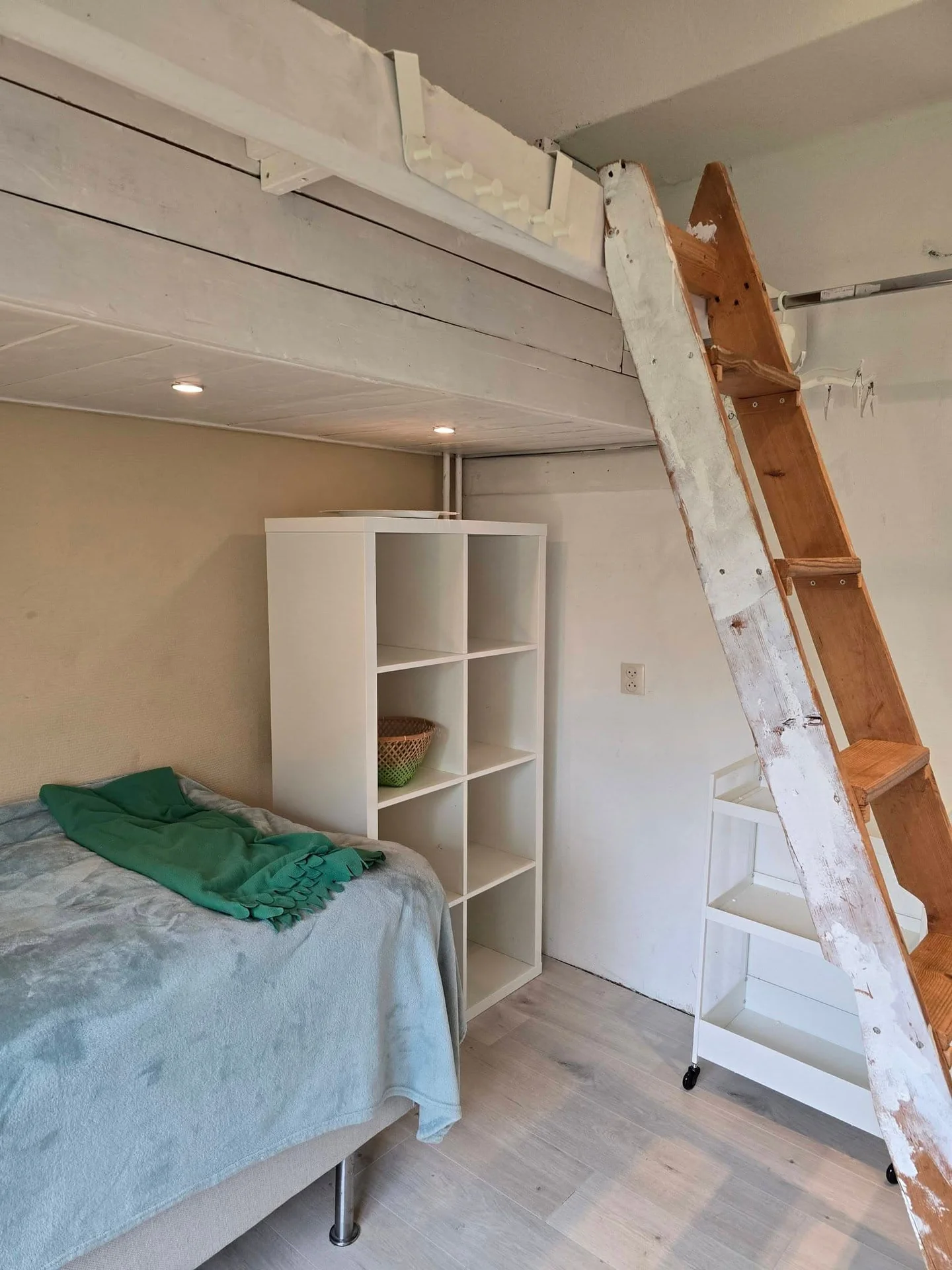 Foto van de Kamer gelegen aan de Speenkruidstraat in Groningen