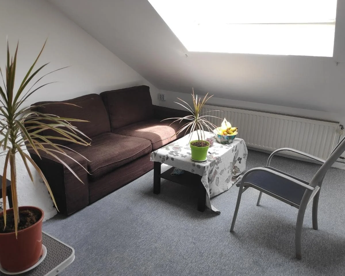 geblurde versie van de foto als achtergrond