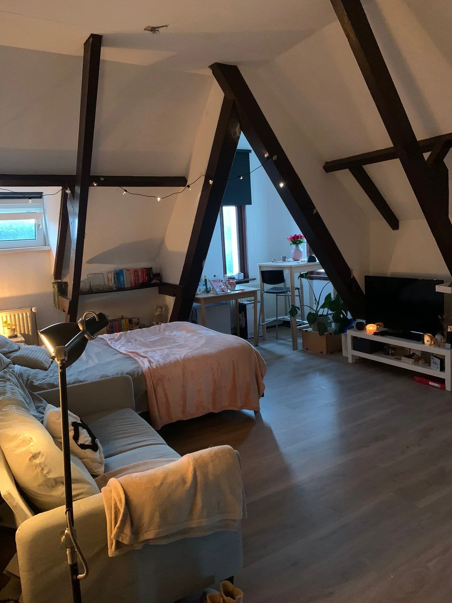 geblurde versie van de foto als achtergrond