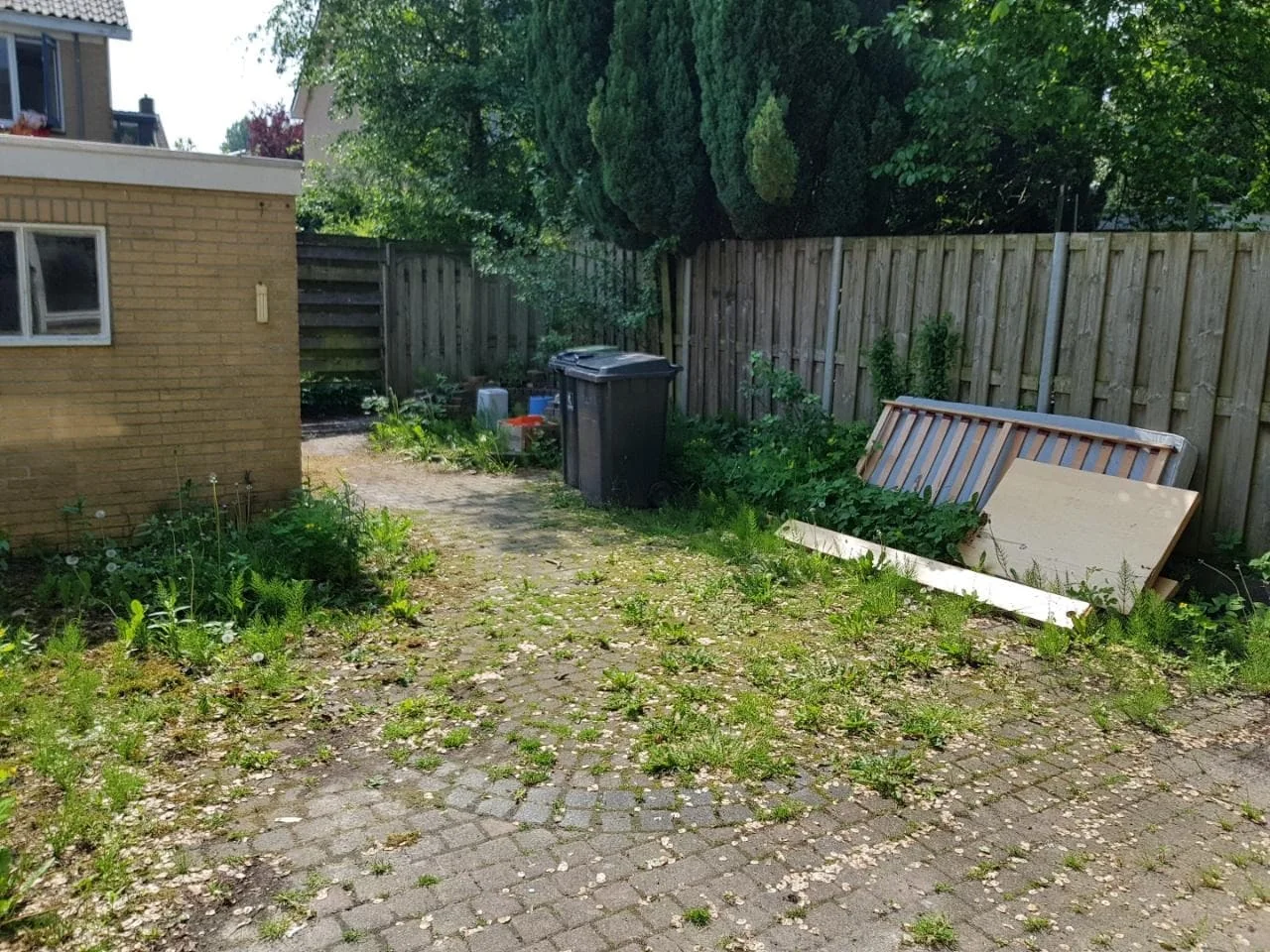 geblurde versie van de foto als achtergrond