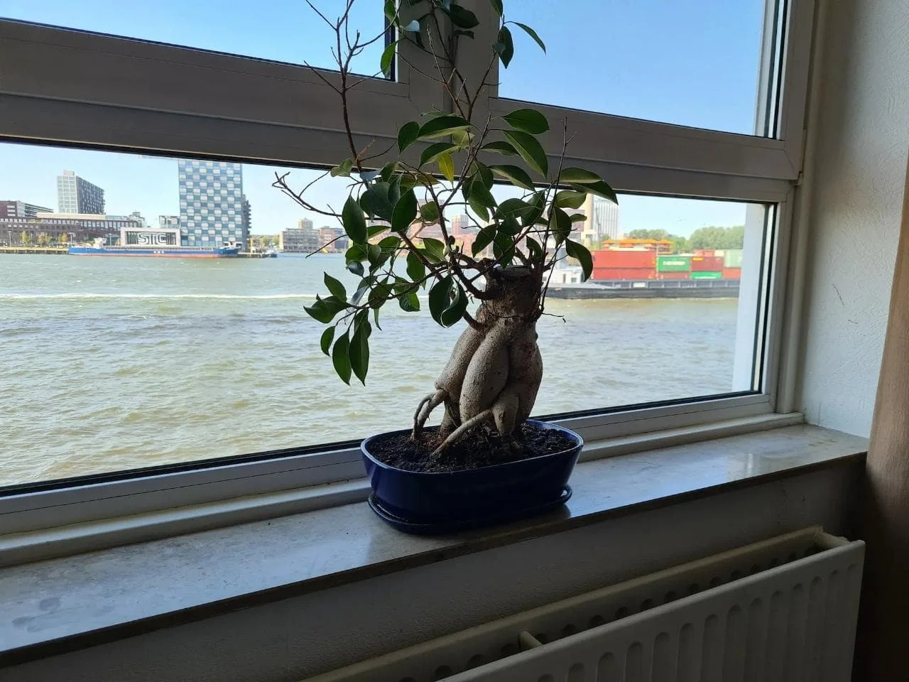 Foto van de Appartement gelegen aan de Sint-Janshaven in Rotterdam