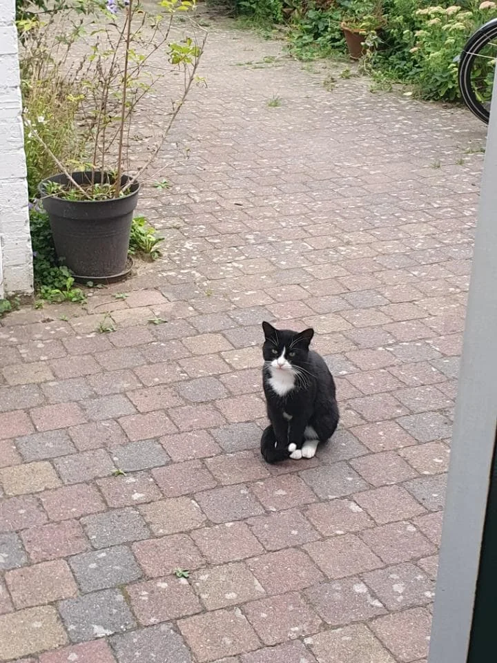 Foto van de Kamer gelegen aan de Goselingstraat in Nijmegen