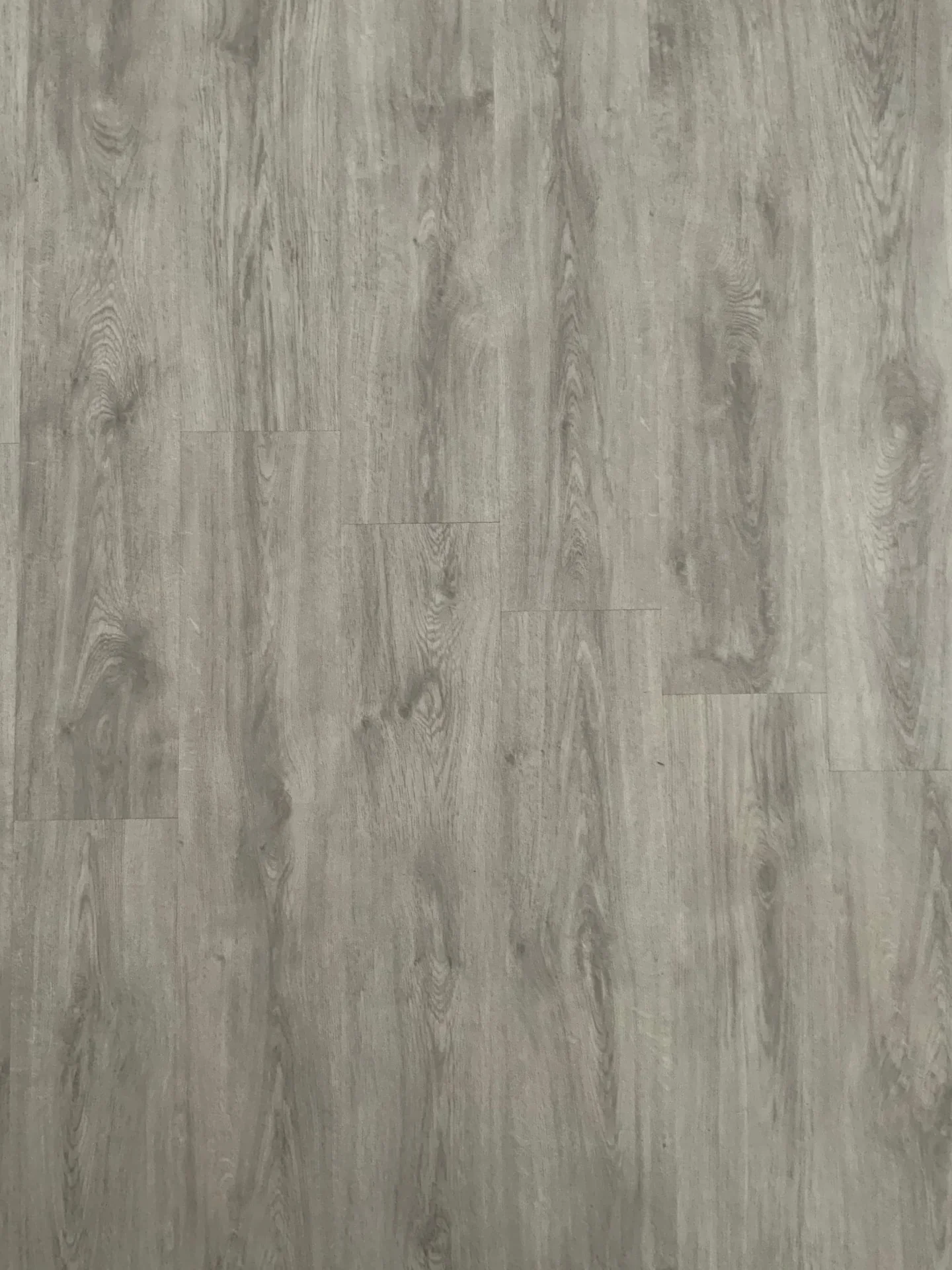 Foto van de Kamer gelegen aan de Meeuwenlaan in Amsterdam