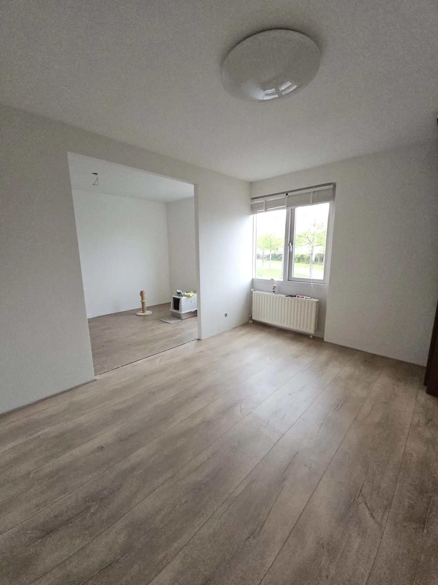 Foto van de Kamer gelegen aan de Wilgewinde in Dordrecht