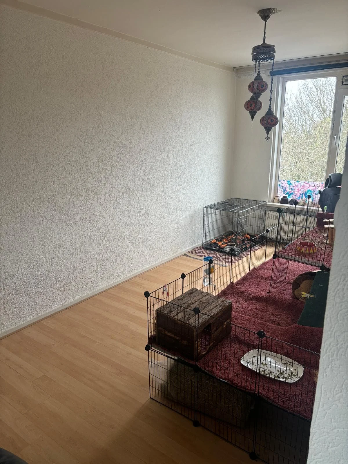 Foto van de Appartement gelegen aan de Van Iddekingeweg in Groningen