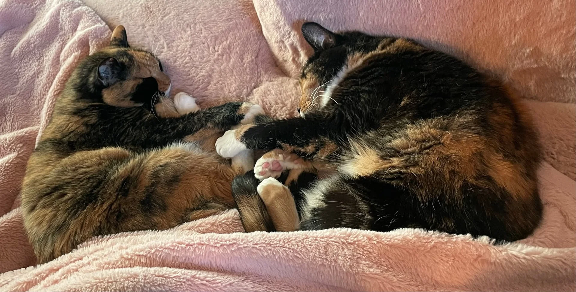 Foto van de Kamer gelegen aan de Gooise Kant in Amsterdam