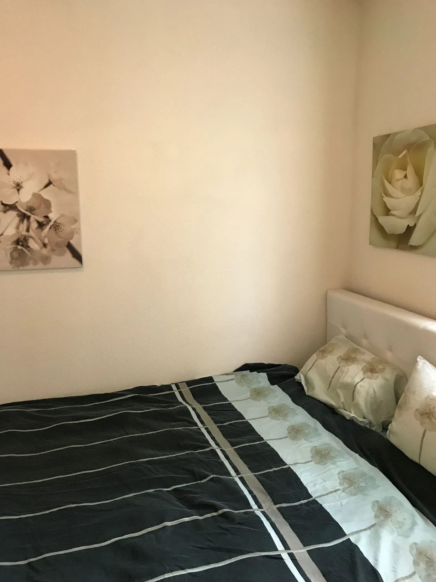 Foto van de Appartement gelegen aan de Wittevrouwensingel in Utrecht