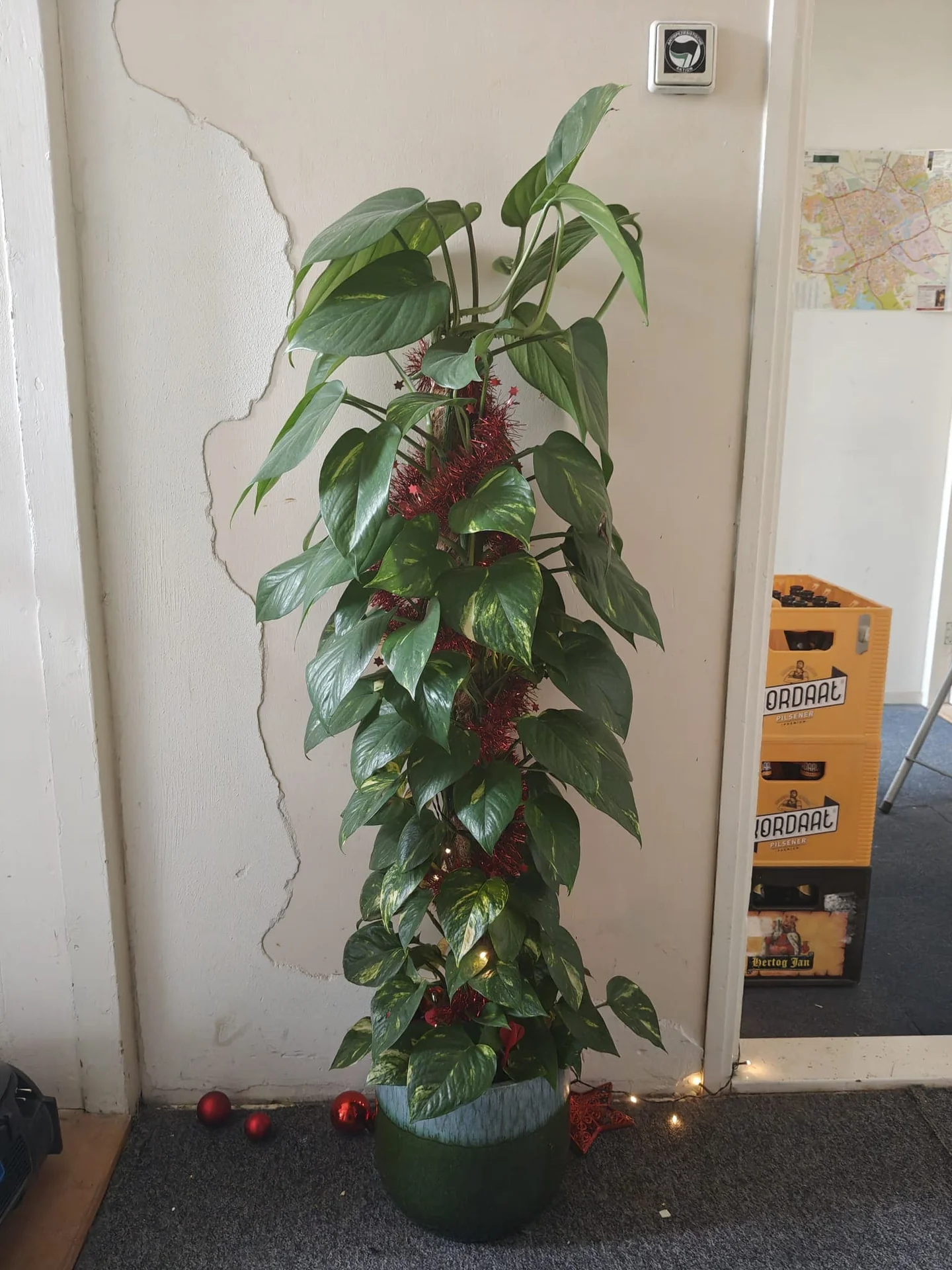 Foto van de Kamer gelegen aan de Oosterhamrikkade in Groningen