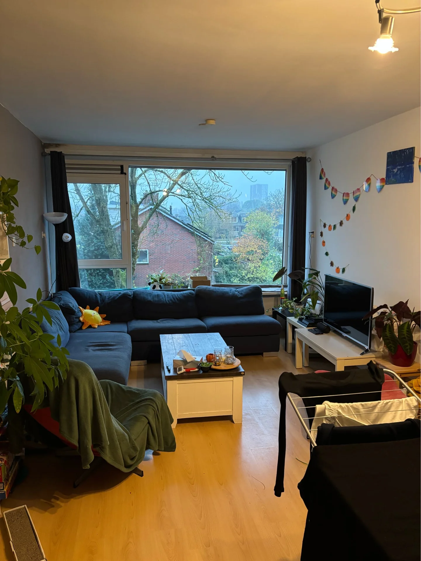 Foto van de Kamer gelegen aan de Duindoornstraat in Groningen