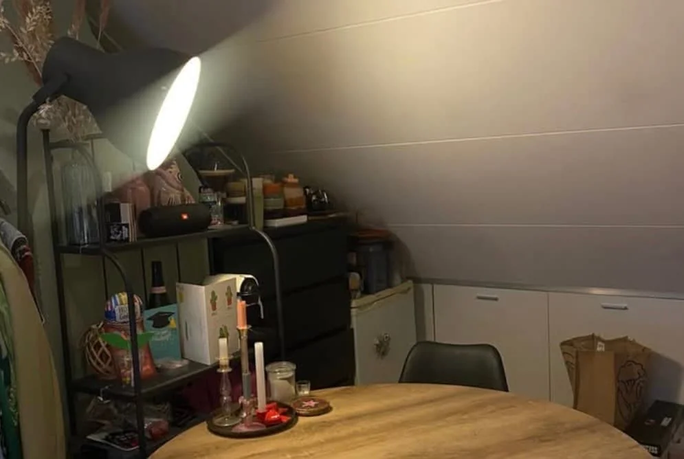 Foto van de Kamer gelegen aan de Ternatestraat in Delft