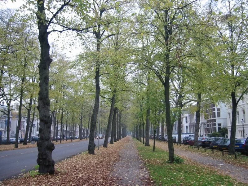 Foto van de Kamer gelegen aan de Maliebaan in Utrecht