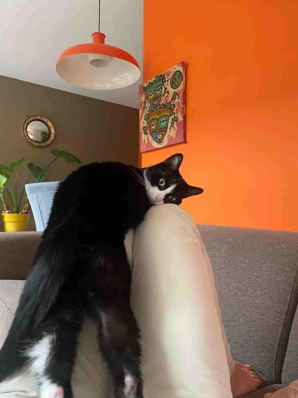 Foto van de Appartement gelegen aan de Balistraat in Amsterdam