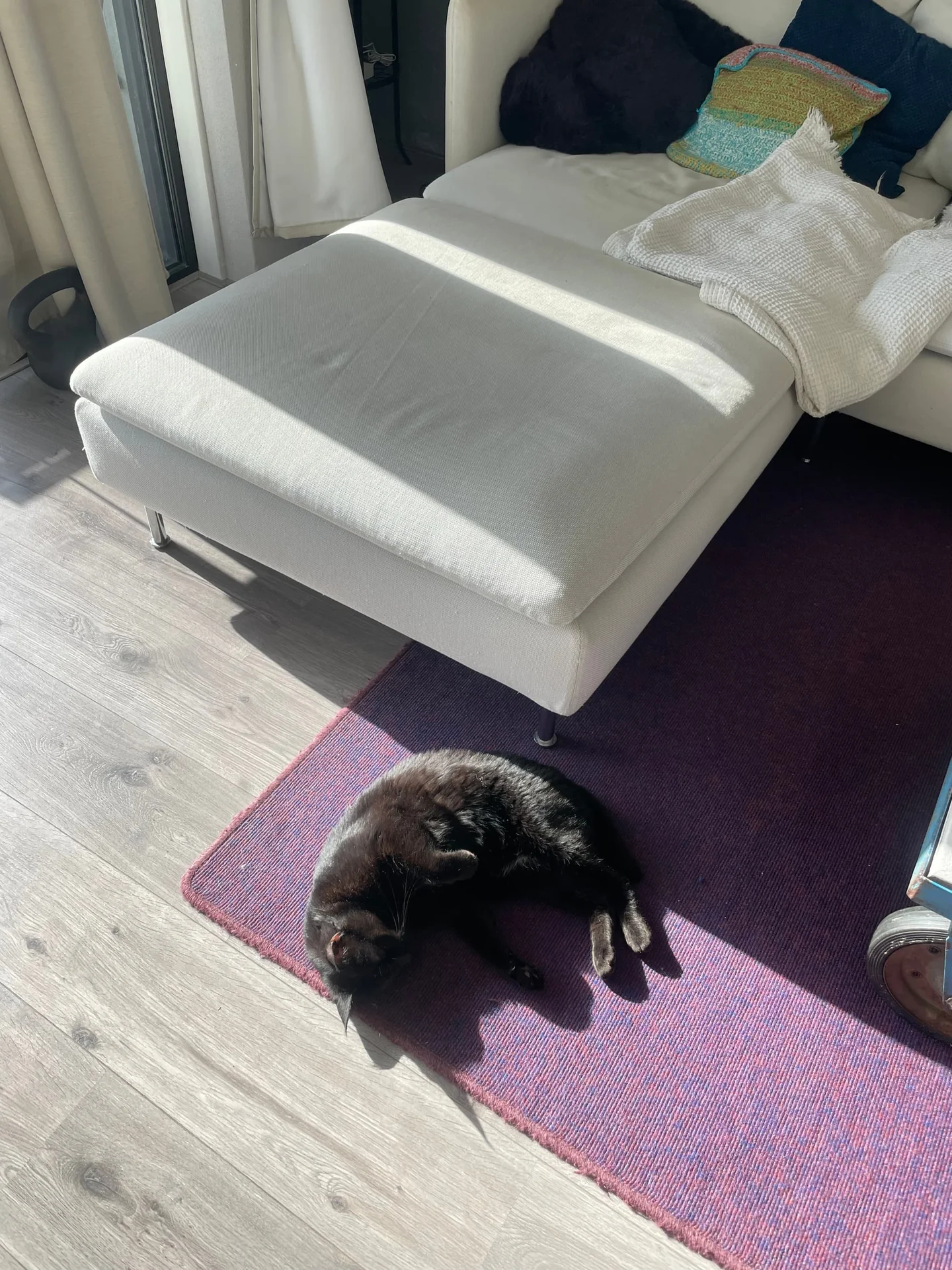 Foto van de Kamer gelegen aan de Fritz Dietrich Kahlenbergstraat in Amsterdam