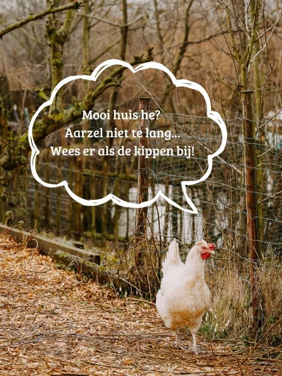 Foto van de Appartement gelegen aan de Brabantstraat in Prinsenbeek