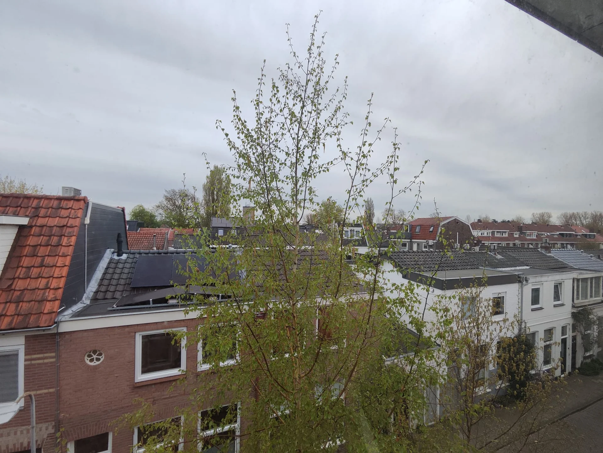 Foto van de Kamer gelegen aan de Esschilderstraat in Haarlem