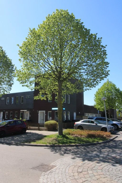 Foto van de Appartement gelegen aan de Albrecht Dürerweg in Almere