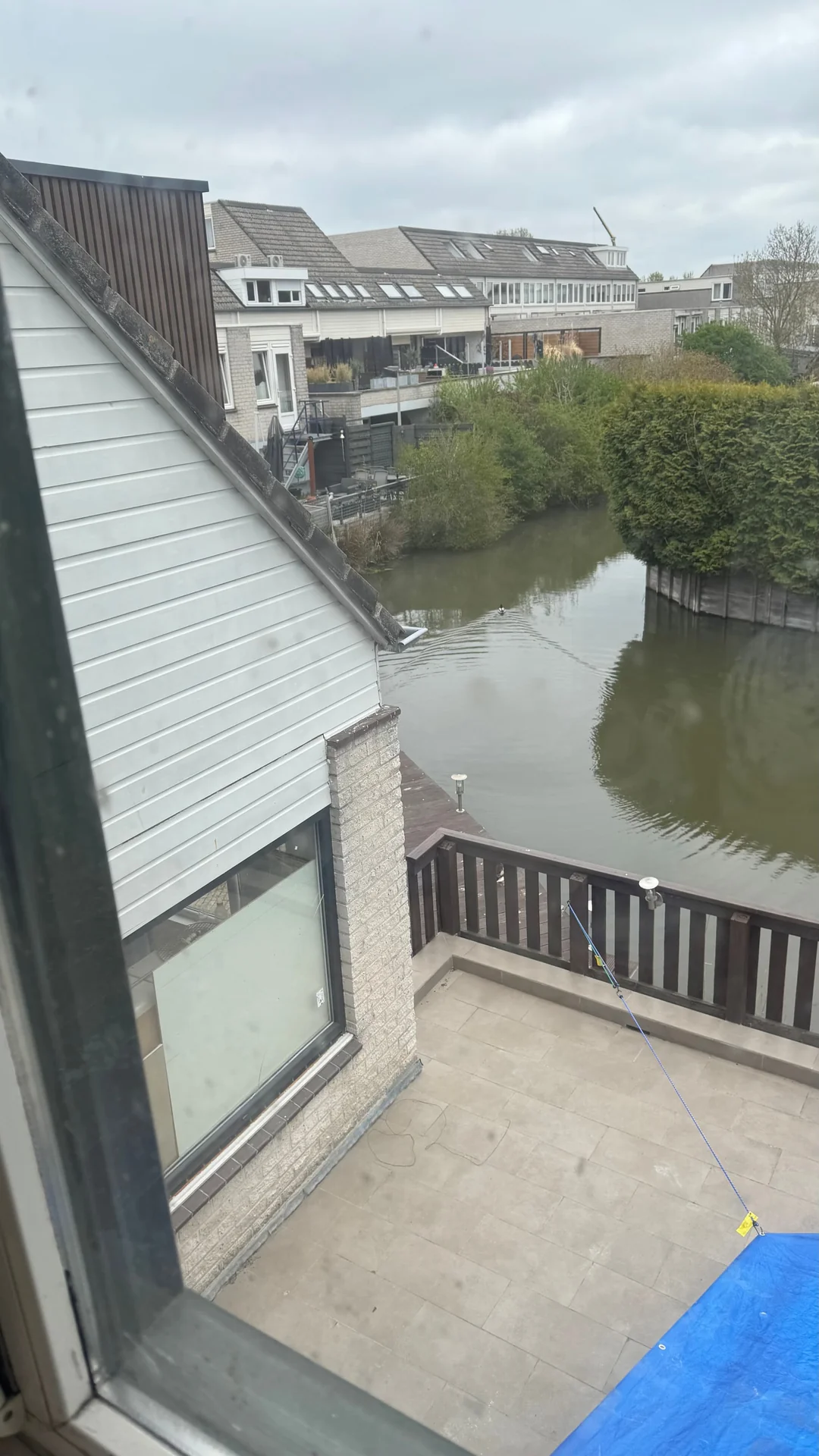 Foto van de Kamer gelegen aan de Kelloggplaats in Rotterdam