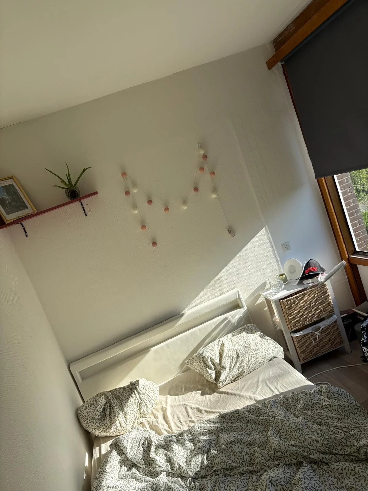 Foto van de Kamer gelegen aan de Aart van der Leeuwlaan in Delft