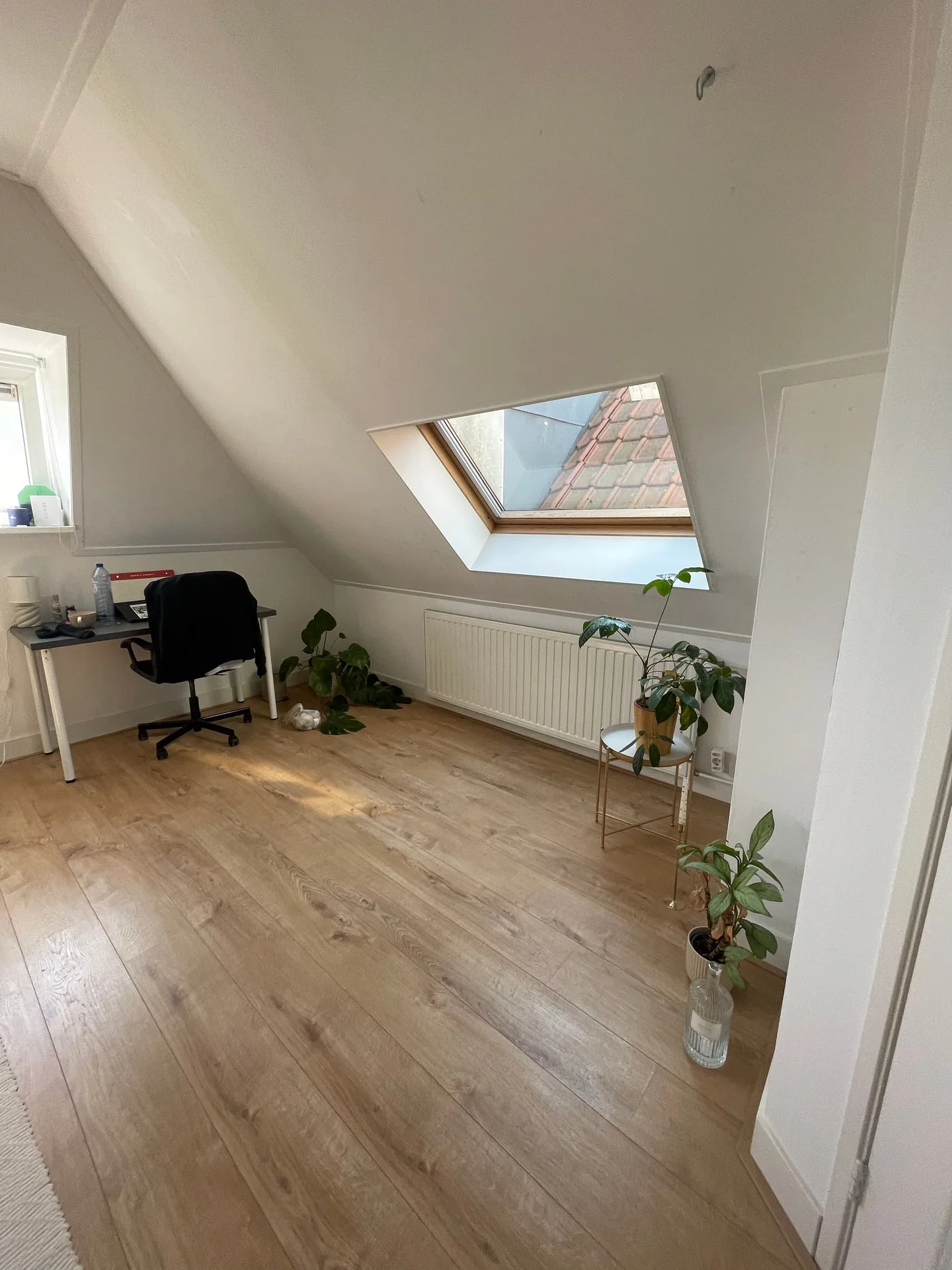 Foto van de Kamer gelegen aan de Beukelsweg in Rotterdam