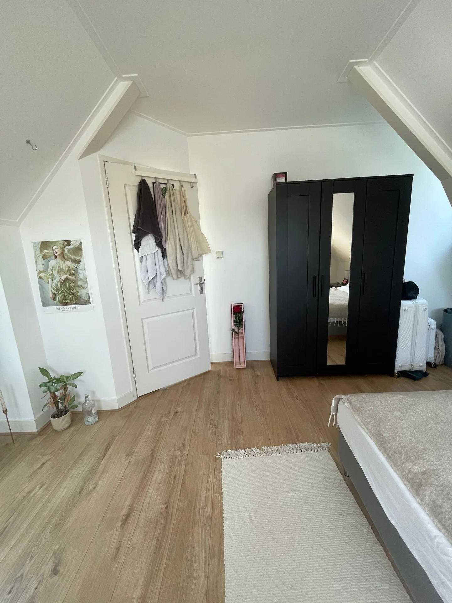 Foto van de Kamer gelegen aan de Beukelsweg in Rotterdam