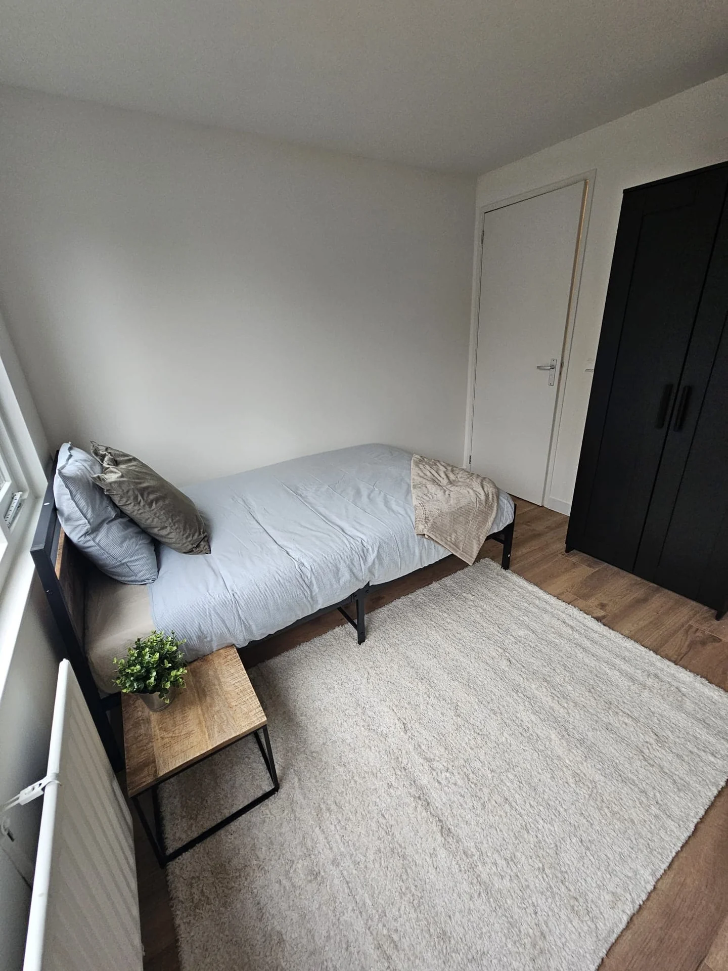 Foto van de Studio gelegen aan de Hondsrug in Utrecht