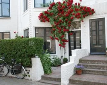 Foto van de Appartement gelegen aan de Doornstraat in Den Haag