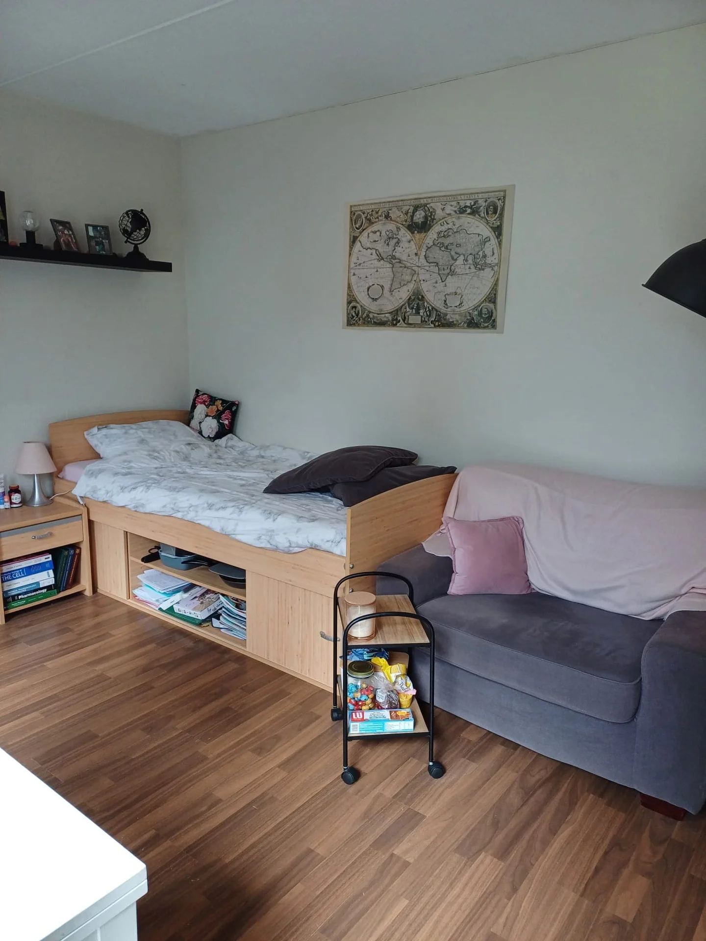 Foto van de Kamer gelegen aan de Kornoeljestraat in Groningen