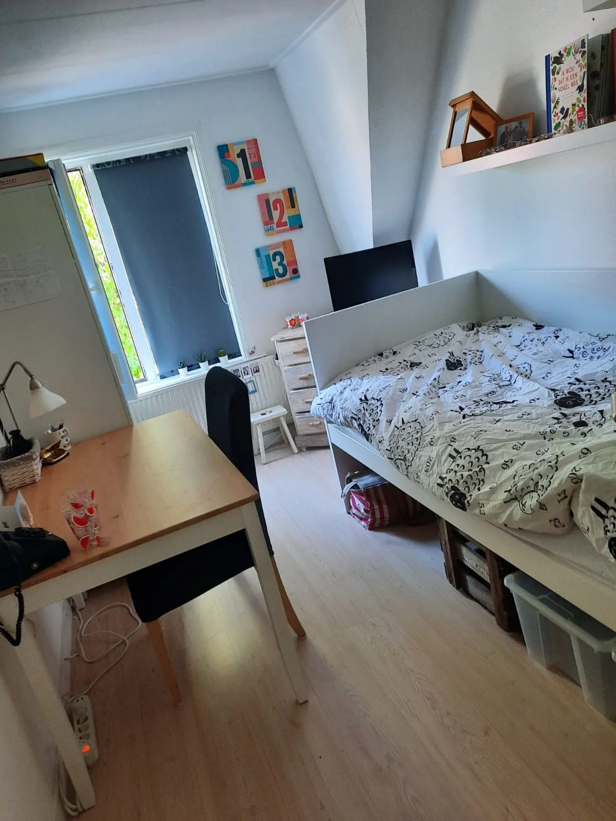 Foto van de Kamer gelegen aan de Haringvlietstraat in Deventer