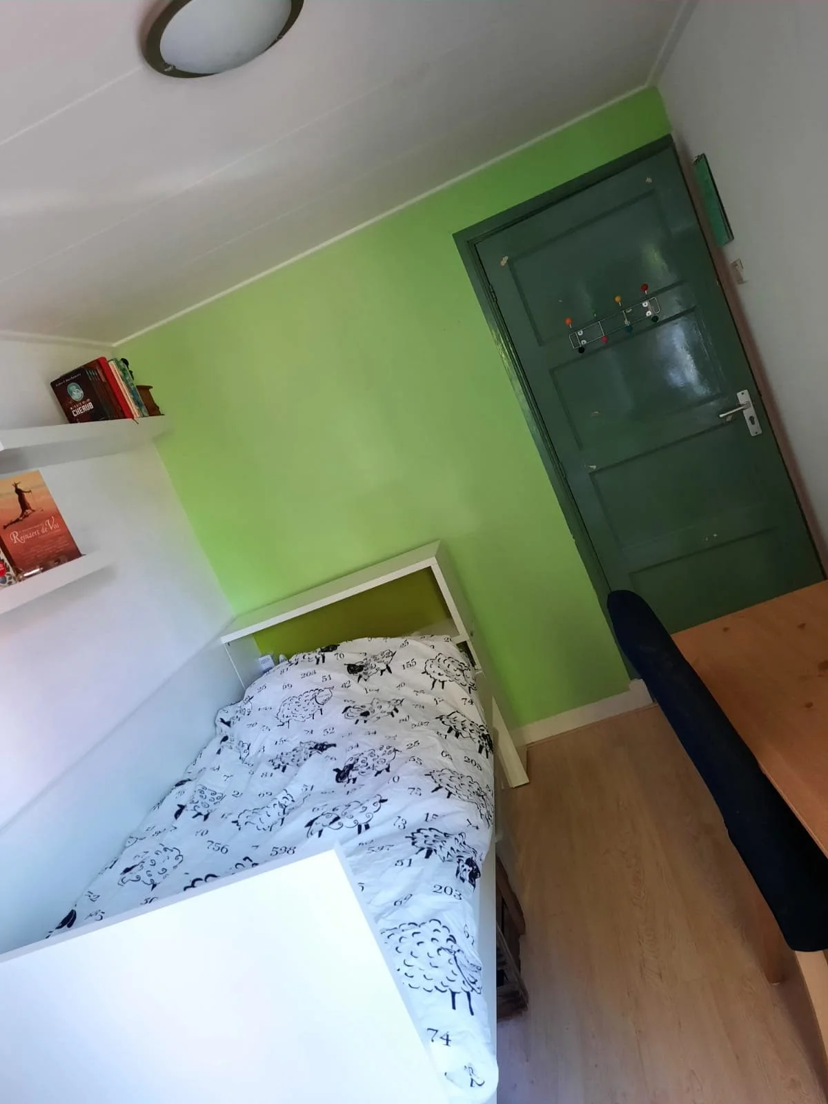 Foto van de Kamer gelegen aan de Haringvlietstraat in Deventer