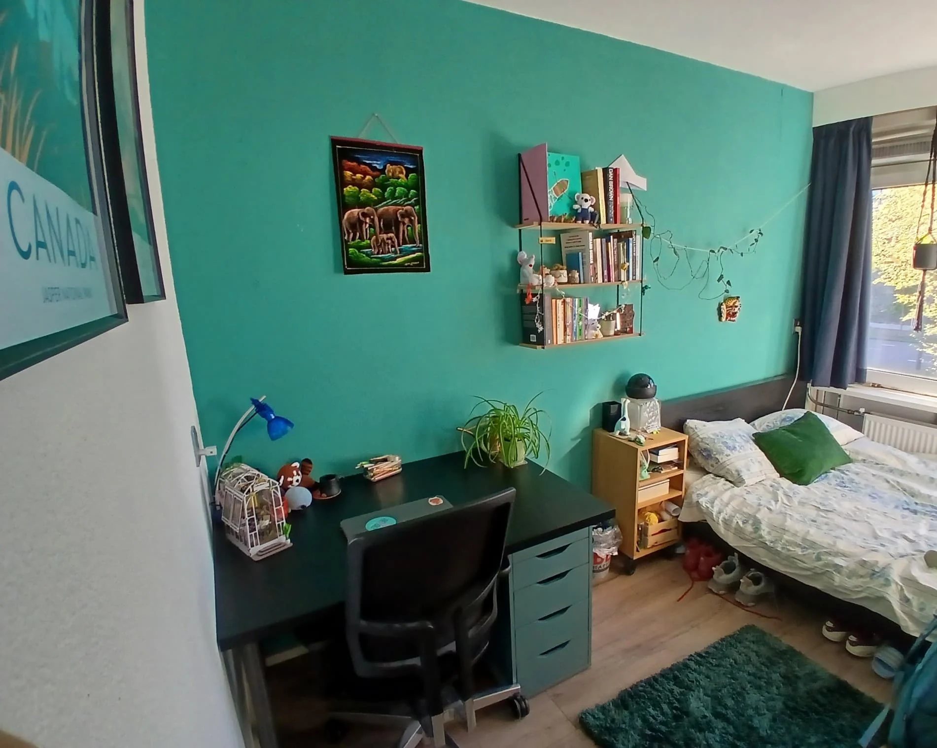 Foto van de Kamer gelegen aan de Westlandseweg in Delft