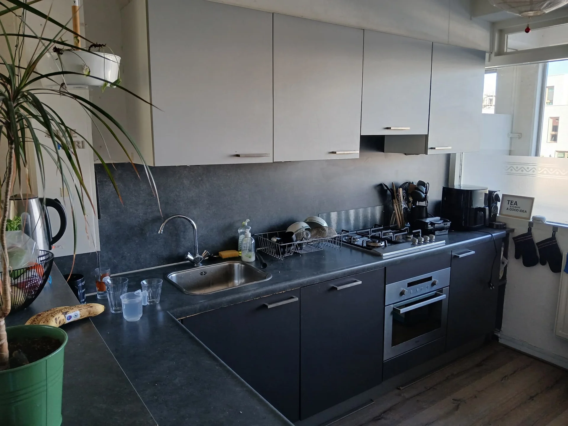 Foto van de Kamer gelegen aan de Westlandseweg in Delft