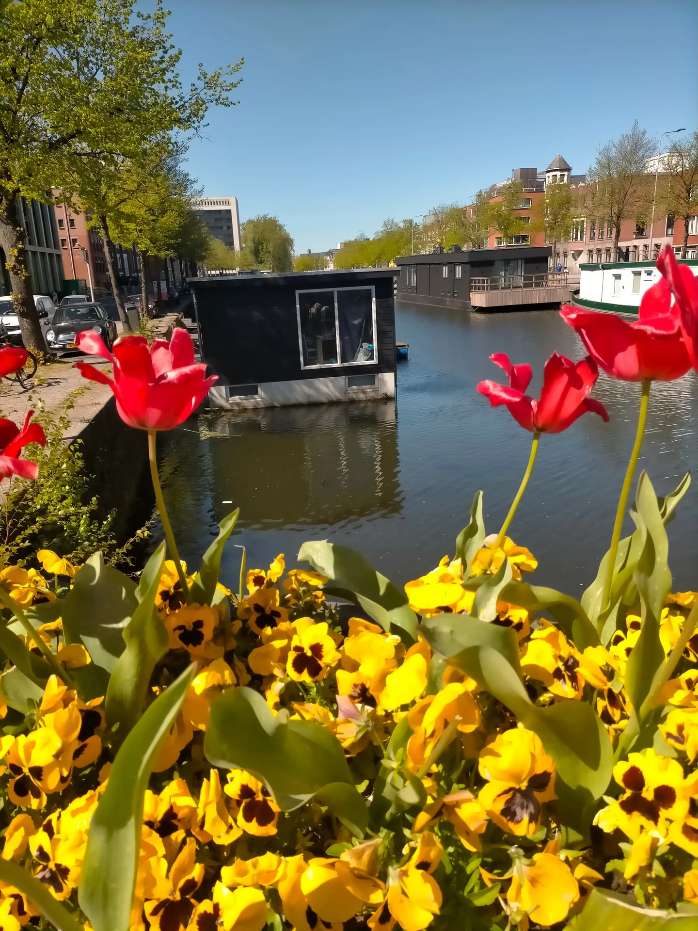 Foto van de Appartement gelegen aan de Eendrachtskade in Groningen