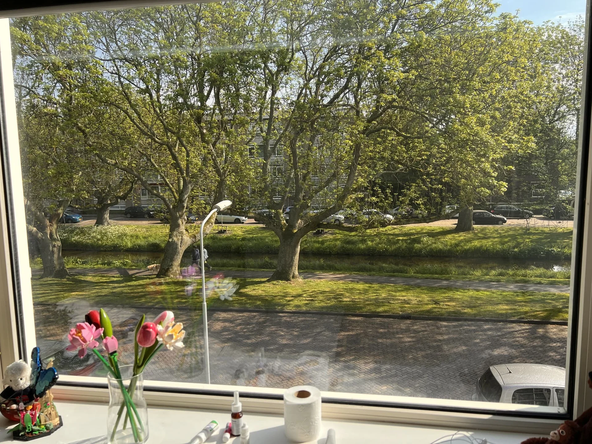Foto van de Kamer gelegen aan de Goeverneurkade in Voorburg