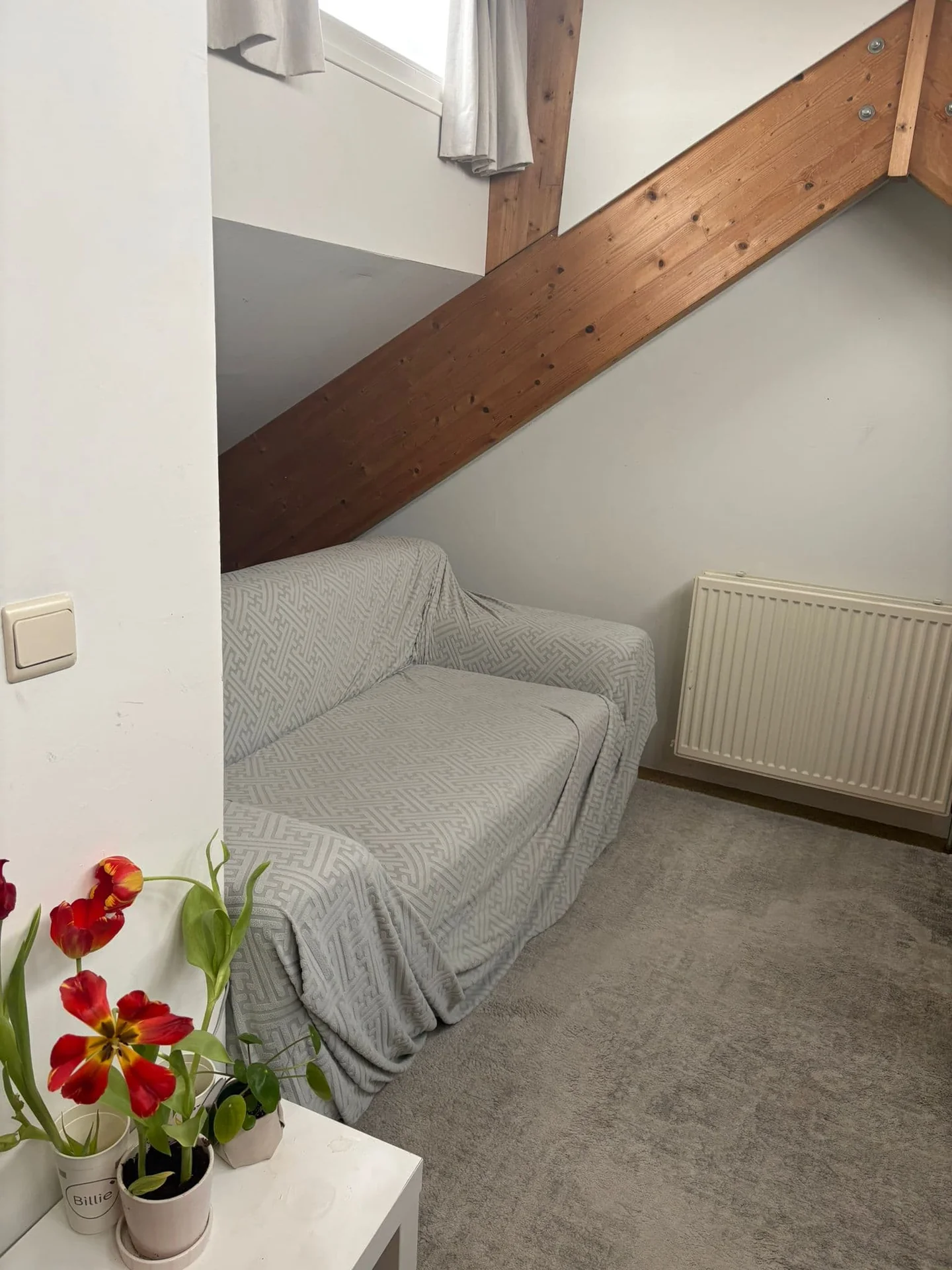 Foto van de Kamer gelegen aan de Bonairepier in Almere